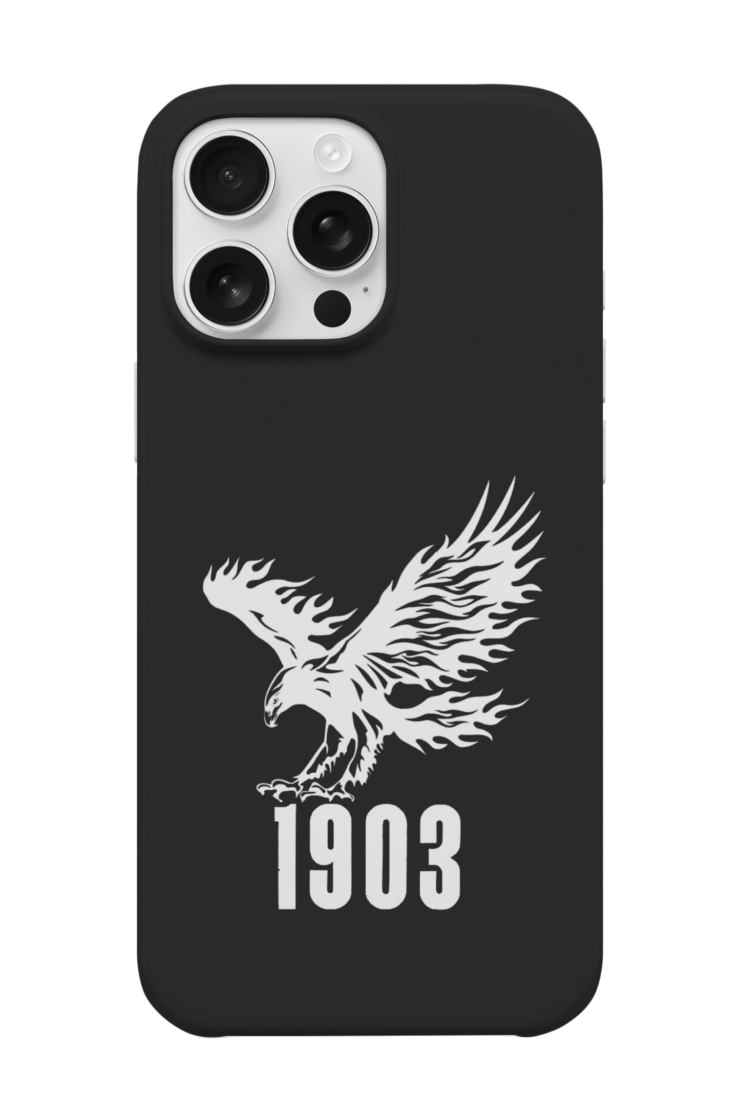 Kartal Telefon Kılıfı